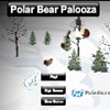 Polar Bear Palooza